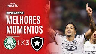 PALMEIRAS 1X3 BOTAFOGO | MELHORES MOMENTOS - BRASILEIRÃO