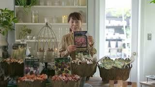 GARDENS Autumn Shop Tour #1 | Introducing bulbs that will make you look forward to spring [GARDENS]