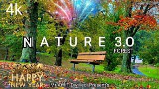 NATURE 3.0 ~ {2024} A cinematic film / B - roll / 4k forest | Mr AmiT Dwivedi Present's