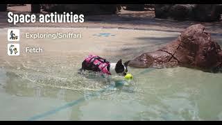 Kepala Canine lagoon - Private Bookings