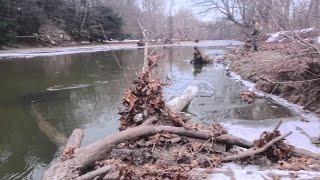 Steelhead Fishing In Erie, PA Tributary After The Snowmelt!!