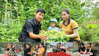 FULL VIDEO: 120 Days Harvesting squash, peppers, rambutan, Taking care of sick children - Gardening