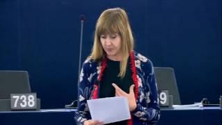 María Teresa Giménez Barbat 27 Oct 2016 plenary speech on European Voluntary Service