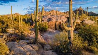 Historic Scottsdale land parcel hitting the market!