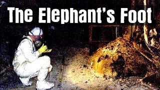 What is the Elephants Foot?