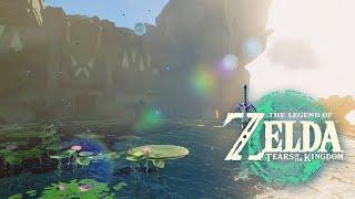  Water Temple (Phase 2)｜Tears of the Kingdom｜ZELDA Ambience｜Relaxing Zelda BGM