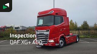 DAF XG+ 480 - 2024 - BAS World