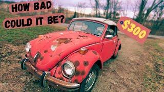 We BOUGHT The CHEAPEST VW Bug on Marketplace. Will It Run?