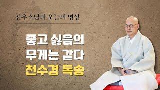 시비 다툼을 깨끗이 해결하는 방법 - 한국불교 선명상 보급을 위한 1년의 기록 - 천수경 독송#선명상 #진우스님의오늘의명상 #마음공부 #지금여기