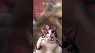Is Nap Just Time Travel? #NapLoop #TimeTravelerTabby