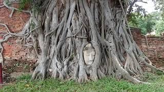 Wat Mahatat Ayutthaya, Thailand 2023