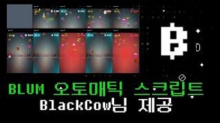 Blum 오토매틱 스크립트 (BlackCow님제작)