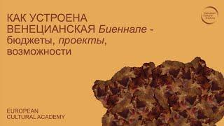 КАК УСТРОЕНА ВЕНЕЦИАНСКАЯ Биеннале: бюджеты, проекты, возможности