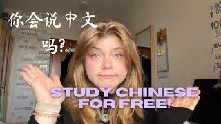 FREE Chinese Study Resources (Apps, Websites, youtubers)