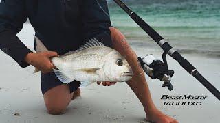 SHIMANO 24 BEASTMASTER 14000XC - The ultimate entry level long-range surf reel.