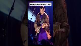 Steven Seagal Comfortably Numb Solo (Pink Floyd)#pinkfloyd #seagal