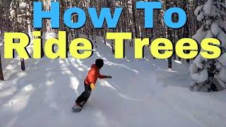 How To Snowboard Trees | Beginners Guide