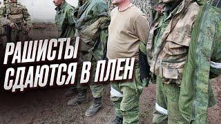  Россияне массово бегут с фронта и сдаются в плен!