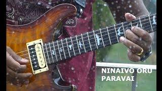 Ninaivo oru paravai | Guitar cover | Ashwin Asokan | Ilaiyaraja | Sivappu Rojakkal