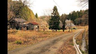 【険道/廃村ツアー】岐阜県道・滋賀県道139号 上石津多賀線 part 2【保月集落】