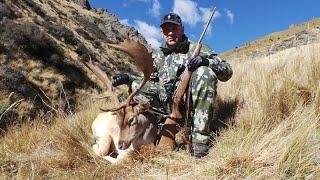 Охота в Новой Зеландии 2014. - Hunting in New Zealand 2014.