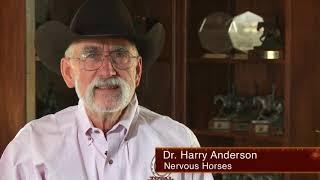 Dr. Anderson Nervous Horses