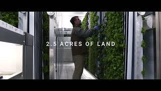 2.5 Acres in 360 Sq. Ft. - The Power of a Freight Farm