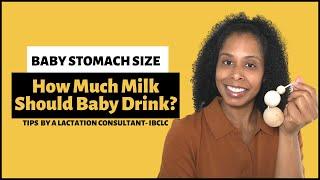 Baby Stomach Size | How Much Milk Should Baby Drink