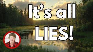 They are lying to you - what it's really like living in Minnesota! #maryschumann #minneapolis