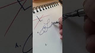 How to sign the letter L?️