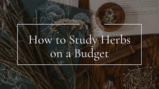 How to Study Herbs on a Budget