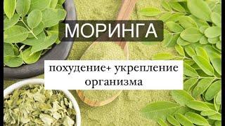 Моринга- чудо-дерево!