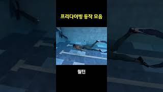 내가 프리다이빙 가기 전에 꼭 보는 영상 #shorts