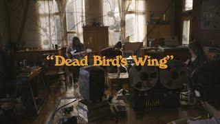 Taylor Kingman - "Dead Bird's Wing" (Official Music Video)