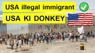 illegal immigrant in America || USA ki donkey | Punjabi donkar in America .