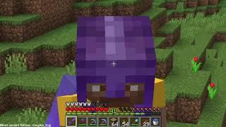 SMP with viewers #4, Villagers and new people in the village