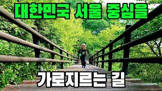 서울숲남산길 8.4km 3시간30분 트레킹 코스 추천