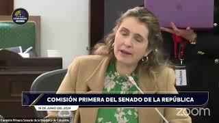 (Acta 56) Sesión del 18 de Junio de 2024