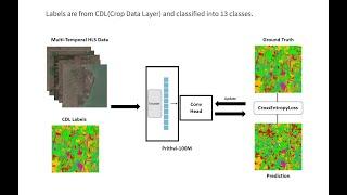 Planet Express: Leveraging Foundation Models with Multi-Temporal HLS Data for Precision Agriculture