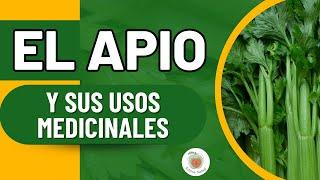 EL APIO: Para qué es Bueno