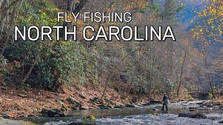 Euro Nymphing for Lots of Trout on the Nantahala River || Fly Fishing North Carolina