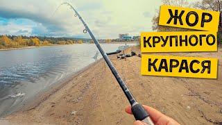 ЖОР КРУПНОГО КАРАСЯ ОСЕНЬЮ!!! Рыбалка на донки. Ловлю карасей и потом их готовлю.