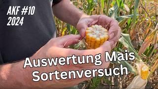 AKF #10 Auswertung Mais Sortenversuch