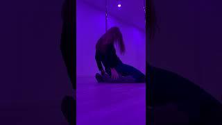 Serpentine Poleography at WildSky Pole Studio