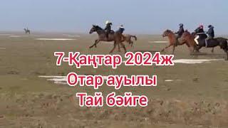 7-Қаңтар 2024ж, Тай бәйге, Қордай ауданы, Отар ауылы,