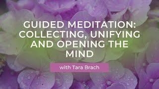 Guided Meditation: Collecting, Unifying and Opening the Mind