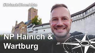 Travelling in Thuringia: UNESCO World Heritage excursion to Wartburg and Hainich National Park