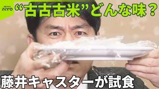 【“古古古米”どんな味？】藤井キャスターが試食  コメのプロも「食べたことない」