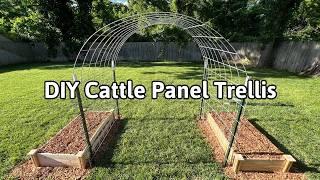 DIY Cattle Panel Trellis | How to Make a Garden Arch Trellis