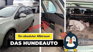 HORROR Hundeauto - Kann man das retten?! 